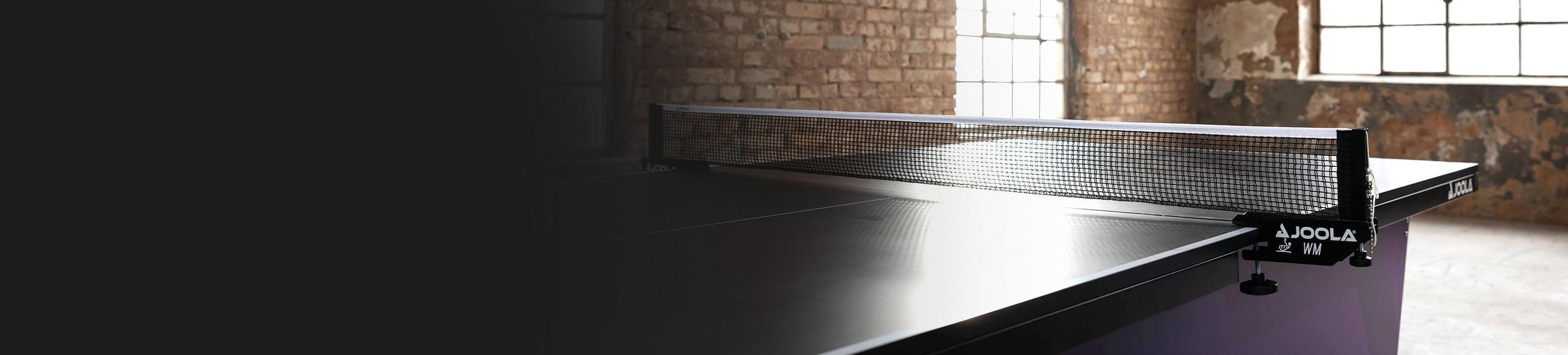 Professional nets / ITTF
