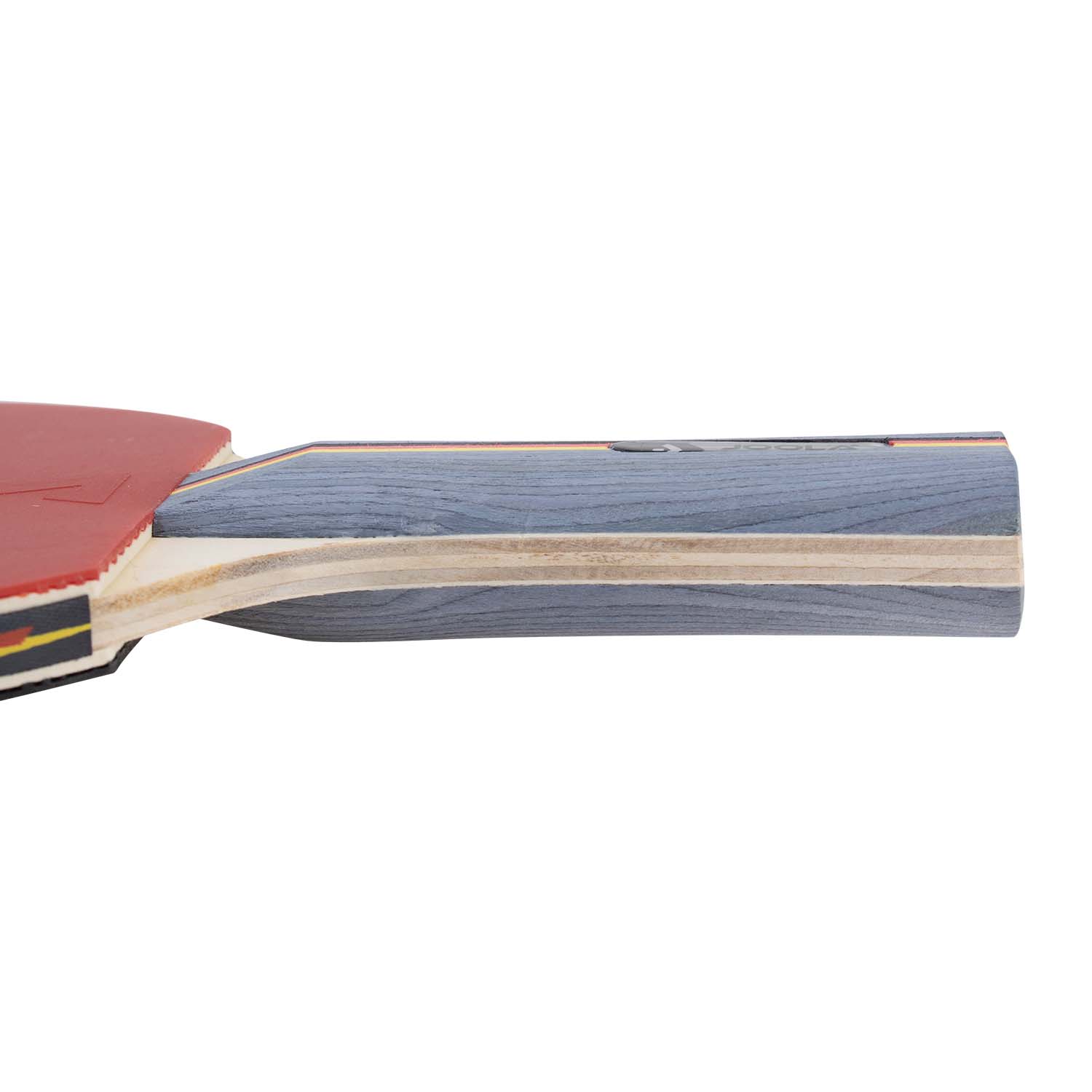 Rear view of the JOOLA table tennis bat TEAM SCHOOL, showing material texture.