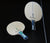 Table tennis blades